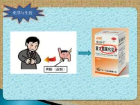 初中化学鲁教版（2024）九年级下册（2024）碱及其性质图片ppt课件
