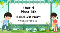 英语外研版（三起）2024Unit 4 Plant life教案配套课件ppt