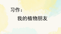 统编版（2024）三年级下册（2024）习作 我的植物朋友教案配套课件ppt