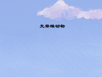 苏科版（2024）七年级下册（2024）无脊椎动物课文内容课件ppt