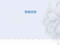 初中生物苏科版（2024）七年级下册（2024）脊椎动物教学课件ppt