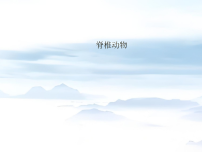 初中生物苏科版（2024）七年级下册（2024）脊椎动物教学演示ppt课件