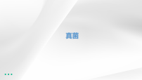生物真菌评课ppt课件