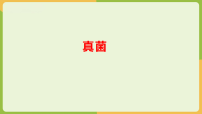 初中生物苏科版（2024）七年级下册（2024）真菌课文内容课件ppt