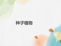 初中生物苏科版（2024）七年级下册（2024）种子植物示范课课件ppt