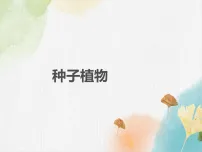 初中生物苏科版（2024）七年级下册（2024）种子植物示范课课件ppt