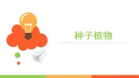 初中生物苏科版（2024）七年级下册（2024）种子植物教案配套课件ppt