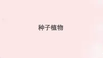 初中生物苏科版（2024）七年级下册（2024）种子植物备课课件ppt