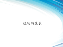 苏科版（2024）七年级下册（2024）植物的生长教学课件ppt