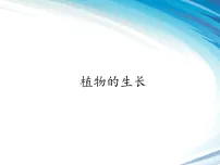 苏科版（2024）七年级下册（2024）植物的生长教学课件ppt