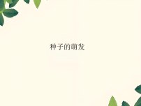 七年级下册（2024）种子的萌发课文内容ppt课件