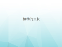 苏科版（2024）七年级下册（2024）植物的生长课文ppt课件
