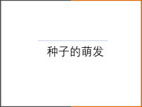 初中生物种子的萌发教学演示课件ppt