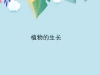 初中苏科版（2024）植物的生长示范课课件ppt