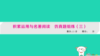 四川省2026中考语文总复习积累运用与名著阅读仿真题组练三提分题组练课件人教部编版（2024）（含答案）