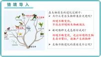 初中生物人教版（2024）八年级下册（2024）第二节 生物进化的历程示范课ppt课件
