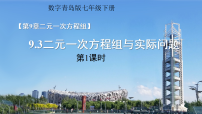 青岛版（2024）七年级下册（2024）二元一次方程组与实际问题授课ppt课件