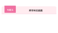 中考物理二轮复习专题五 跨学科实践题课件（鲁科版）