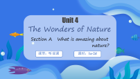 初中英语人教版（2024）八年级下册（2024）Section A背景图课件ppt