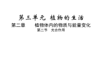 初中生物人教版（2024）七年级下册（2024）光合作用多媒体教学ppt课件