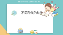 教科版（2024）三年级下册（2024）1.不同种类的动物评课课件ppt
