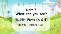 小学英语湘少版（2024）四年级下册（2024）Unit 7 What can you see?教案配套ppt课件