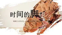初中语文人教部编版(2024)八年级下册(2024)第二单元阅读8*时间的脚印多媒体教学ppt课件