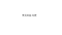 2026年中考化学一轮复习--常见的盐 化肥课件