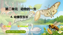 小学科学教科版（2024）三年级下册（2024）4.幼蚕在生长教课内容ppt课件