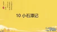 初中语文人教部编版（2024）八年级下册（2024）10 小石潭记课文课件ppt
