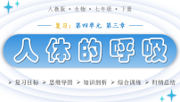 人教版（2024）七年级下册（2024）人体的呼吸复习ppt课件