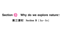 初中英语Section B作业课件ppt