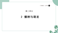 大象版（2024）三年级下册（2024）2  播种与萌发背景图ppt课件