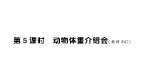 北师大版（2024）三年级下册（2024）动物体重介绍会作业ppt课件