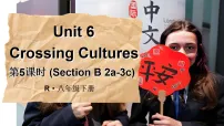 人教版（2024）八年级下册（2024）Unit 6 Crossing CulturesSection B课文课件ppt