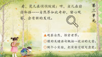 统编版（2024）三年级下册（2024）第三单元9 海底世界图文ppt课件