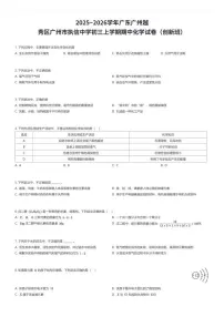 2025~2026学年广东广州越秀区广州市执信中学初三上学期期中化学试卷（创新班）（有答案解析）