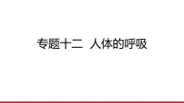 专题12 人体的呼吸课件(含答案)2026年中考生物一轮复习