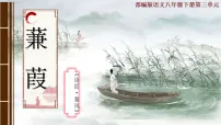 初中语文人教部编版（2024）八年级下册（2024）蒹葭图文ppt课件
