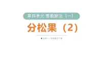 小学数学北师大版（2024）三年级下册（2024）分松果教学ppt课件