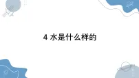 小学科学苏教版（2024）一年级下册（2024）水是什么样的课堂教学ppt课件