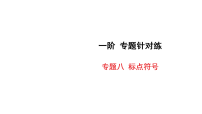 2026年中考语文一轮复习 课件含答案 积累与运用 专题针对练 专题八 标点符号