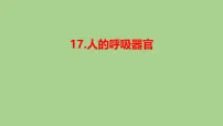 苏教版（2024）三年级下册（2024）第5单元 人的呼吸和消化17 人的呼吸器官教课内容ppt课件