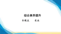 2026年人教版中考地理二轮复习综合素养提升专题五农业（课件）