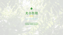 生物七年级下册（2024）光合作用授课ppt课件
