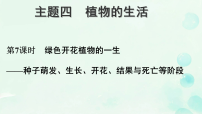 第7课时 绿色开花植物的一生 课件 2026生物中考第一轮复习
