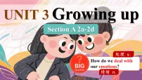 人教版（2024）八年级下册（2024）Section A课文内容ppt课件