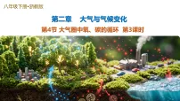 浙教版（2024）八年级下册（2024）第4节 大气圈中氧、碳的循环教学ppt课件