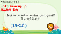 初中英语人教版（2024）八年级下册（2024）Section A图片ppt课件