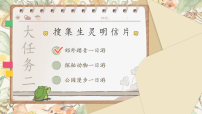 语文三年级下册（2024）4* 昆虫备忘录教学演示课件ppt